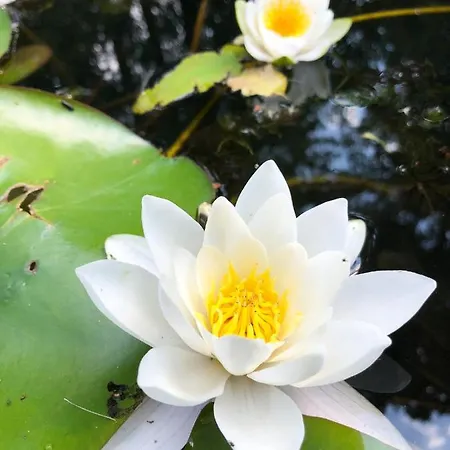 Direkt An Der Spree Mit Whirlpool Und Sauna * Berlín
