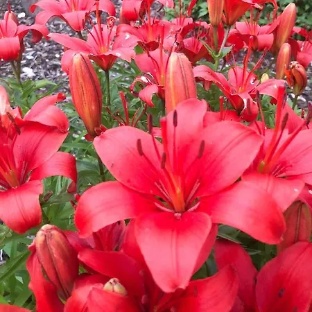 Direkt An Der Spree Mit Whirlpool Und Sauna * ברלין