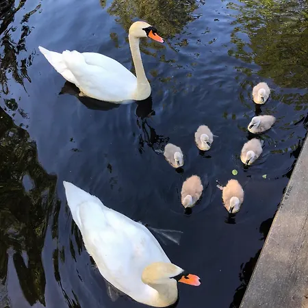 Direkt An Der Spree Mit Whirlpool Und Sauna