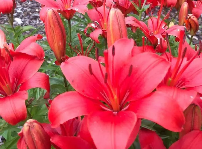 Direkt An Der Spree Mit Whirlpool Und Sauna * Berlin