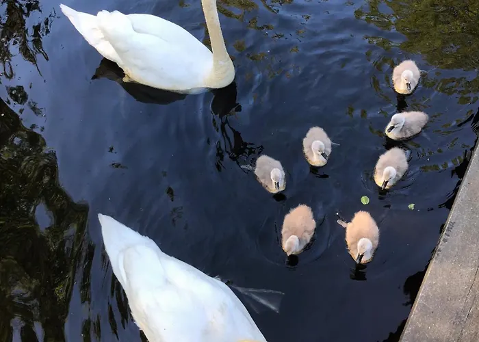 Direkt An Der Spree Mit Whirlpool Und Sauna